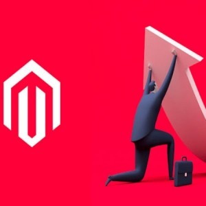 Magento Site Speed Optimization