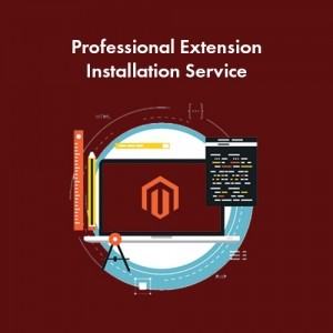 Professional Extension Installation Service