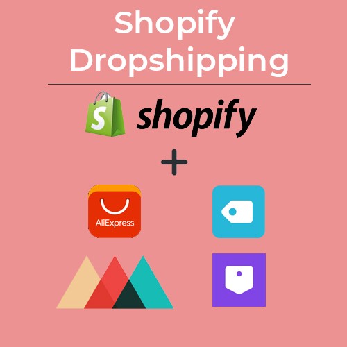 Shopify Dropshipping (Aliexpress, Oberlo, Printful, and Spocket) App installation