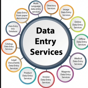 Professional WordPress Data Entry