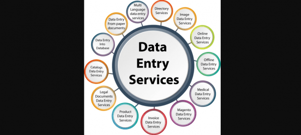 Professional WordPress Data Entry