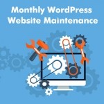 Professional WordPress Data Entry