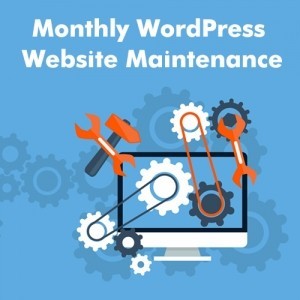 Monthly WordPress Website Maintenance