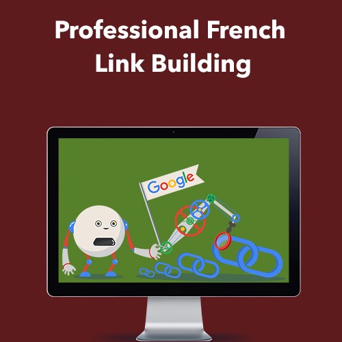 Professional French Link Building