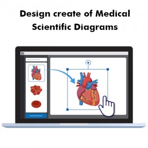 Design create of Medical, Scientific Diagrams