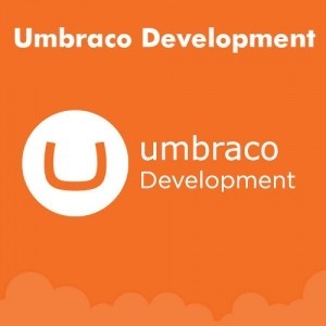 Umbraco Development