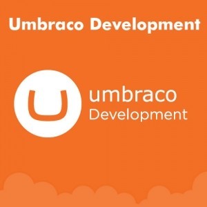 Umbraco Development