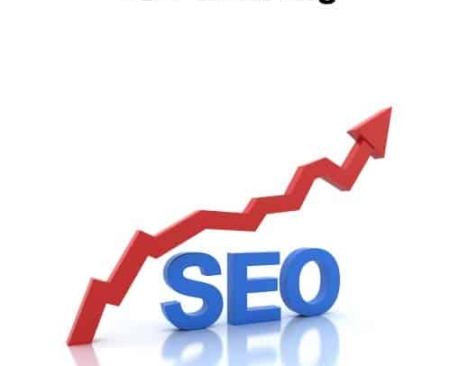 Seo Ranking