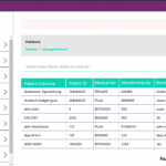 develope powerapps custom portal for your business